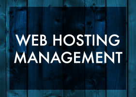 Web Hosting Company, Norfolk