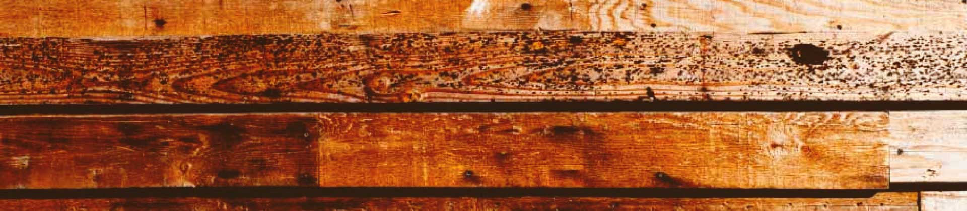 wood panel background website design